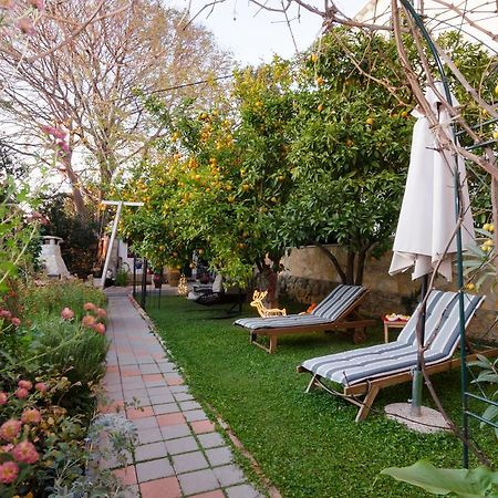 B&B Villa Dubrovnik Garden מראה חיצוני תמונה