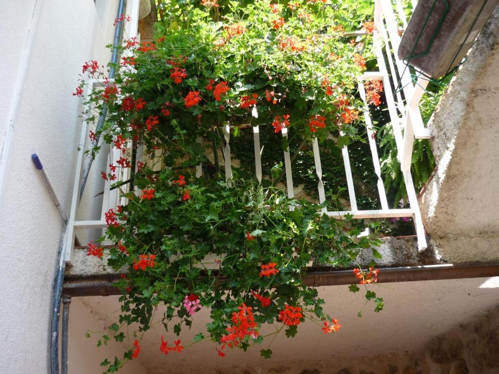 B&B Villa Dubrovnik Garden מראה חיצוני תמונה